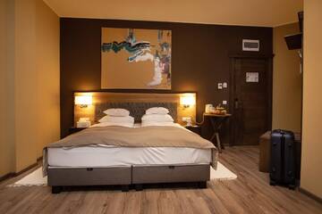 Фотографии Отель Panorama Boutique Hotel г. Сфынту-Георге (Румыния) №3 Фото Отель Panorama Boutique Hotel г. Сфынту-Георге 3