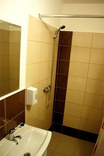Фото номера Двухместный номер с 1 кроватью и собственной ванной комнатой Гостевой дом Pensiunea Bobo Panzio г. Сфынту-Георге 3